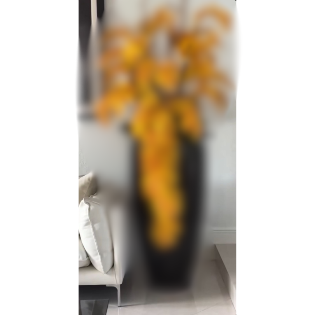 Glänzend schwarze