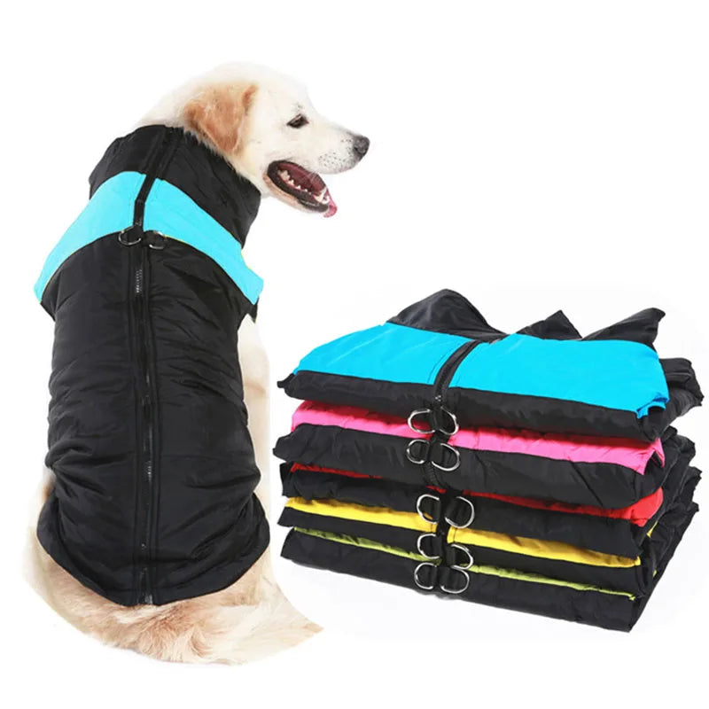 Abbigliamento Invernale Per Cani - Caldo Per Cani Di Taglia Grande